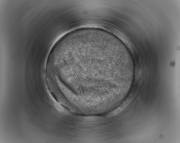 X0000100950988200807221117