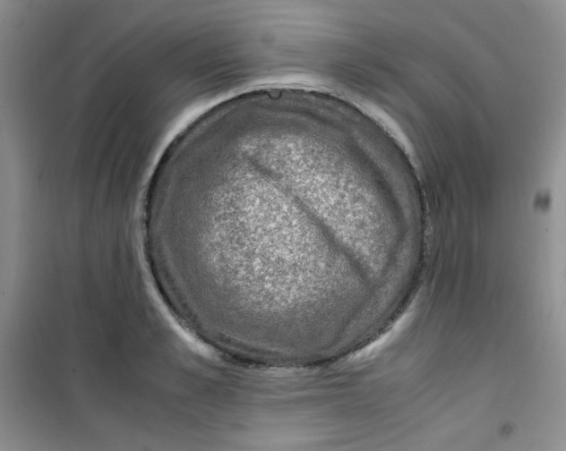 X0000100950989200807221117