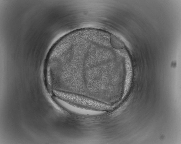 X0000100950991200807221117