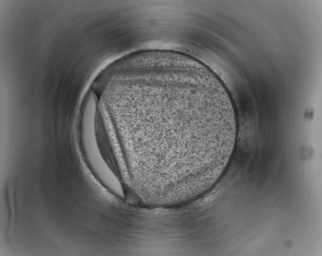 X0000100950992200807221117