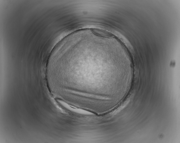 X0000100950993200807221117