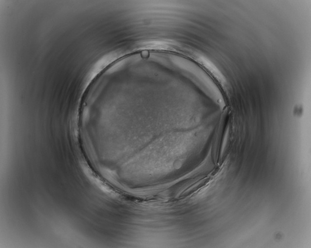 X0000100950994200807221117