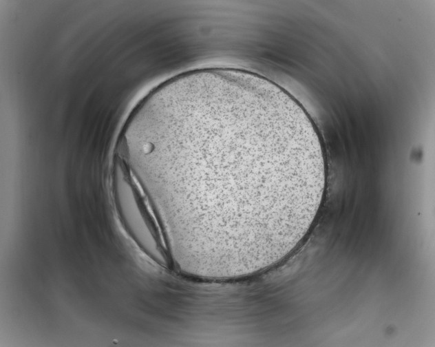 X0000100950996200807221117