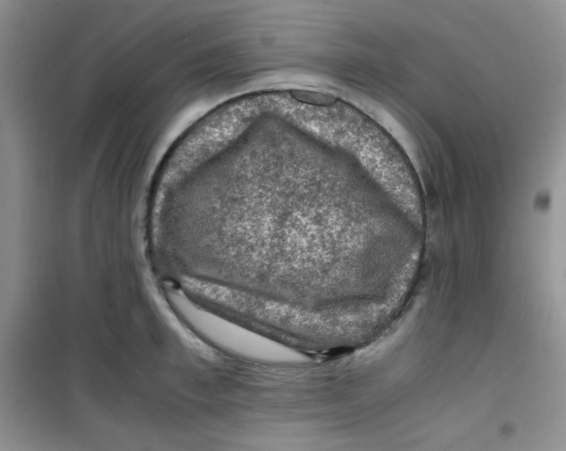 X0000100950997200807221117