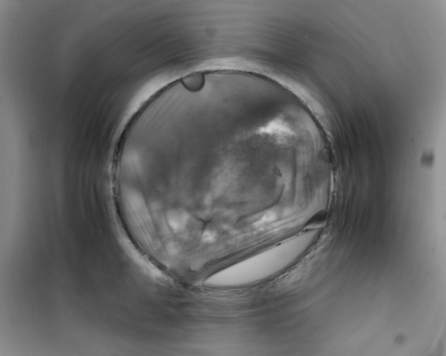 X0000100950998200807221117