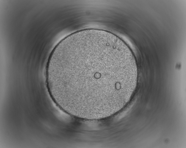 X0000100950999200807221117