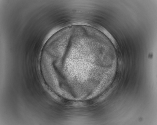 X0000100951002200807221116