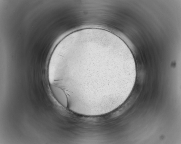 X0000100951004200807221116