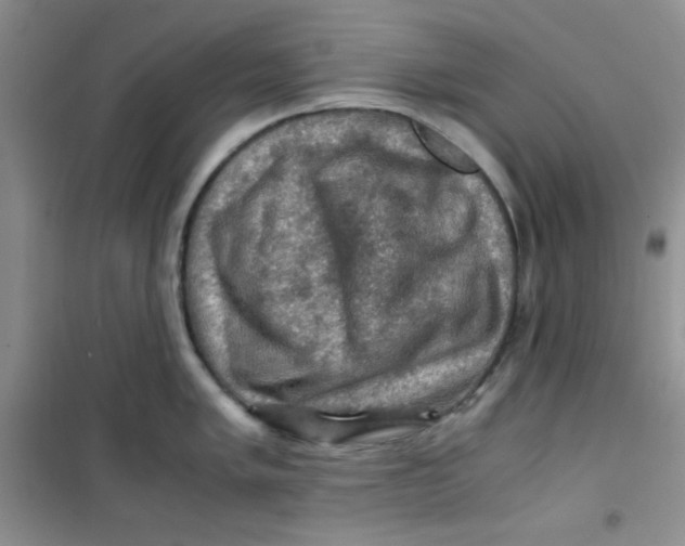 X0000100951005200807221116