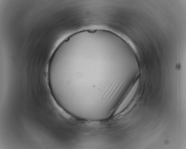 X0000100951006200807221116