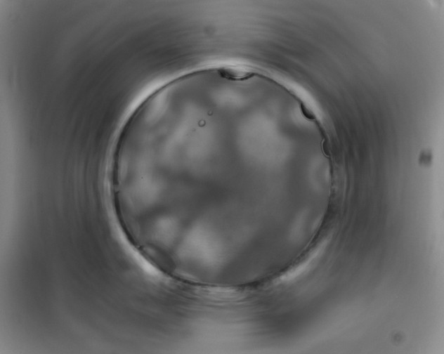 X0000100951007200807221116