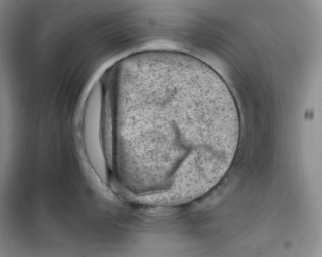 X0000100951008200807221116