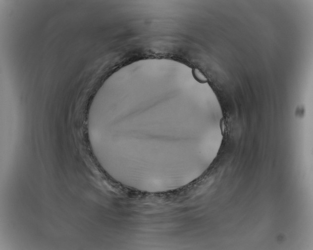 X0000100951009200807221116