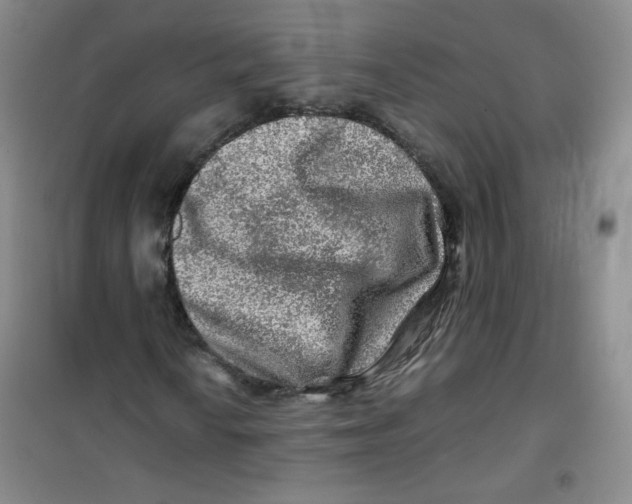 X0000100951010200807221116