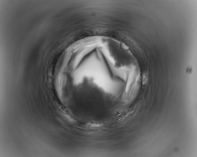 X0000100951011200807221116