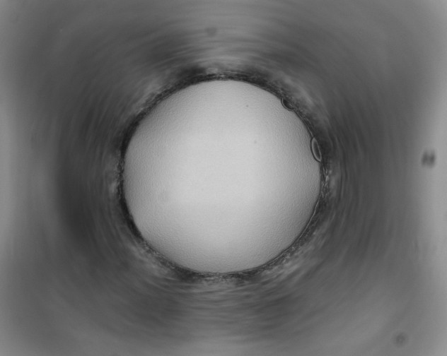 X0000100951012200807221116