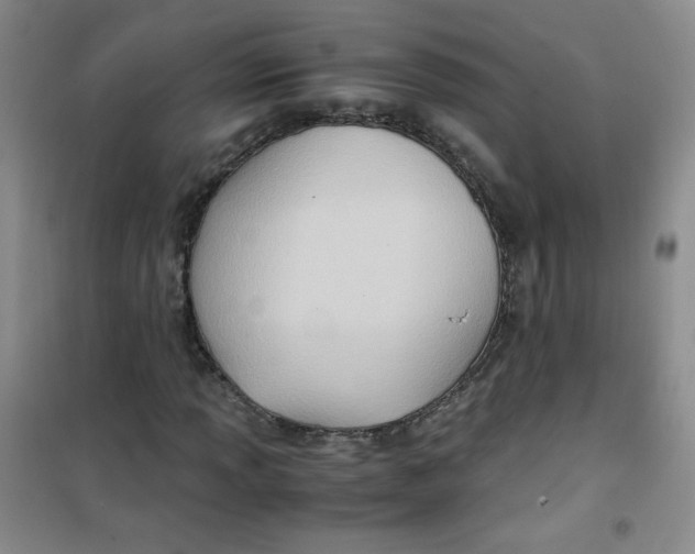 X0000100951013200807221116