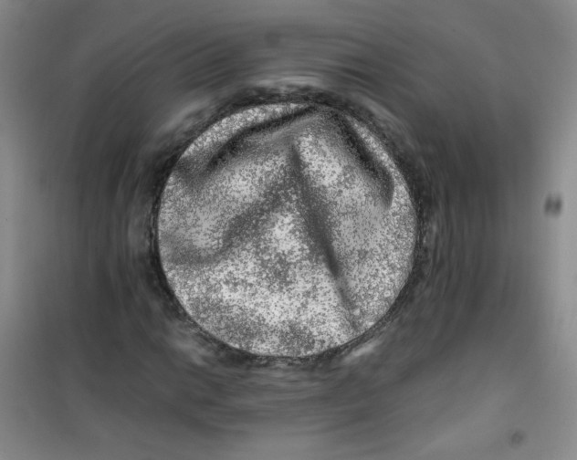 X0000100951014200807221116