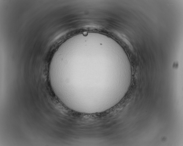 X0000100951015200807221116