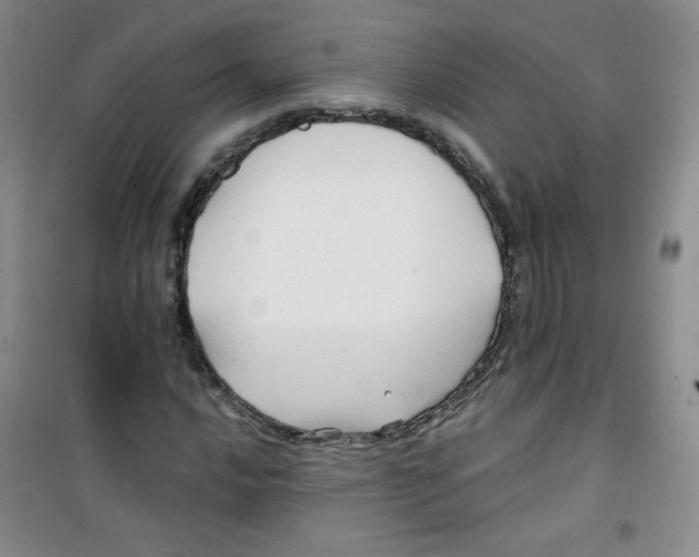 X0000100951016200807221116