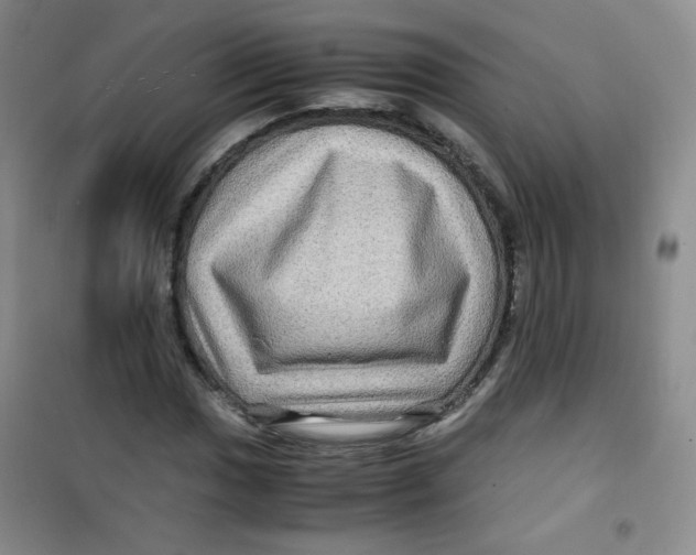 X0000100951017200807221116