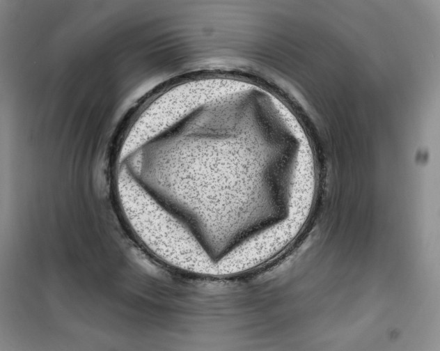 X0000100951018200807221116