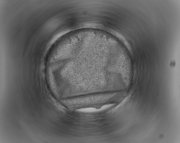 X0000100951019200807221116