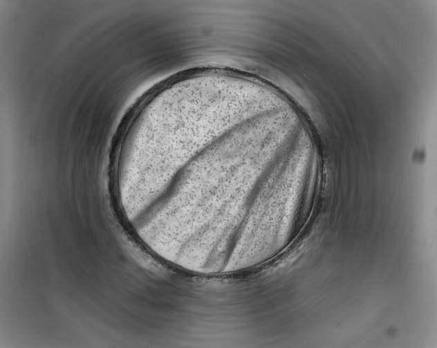 X0000100951020200807221116