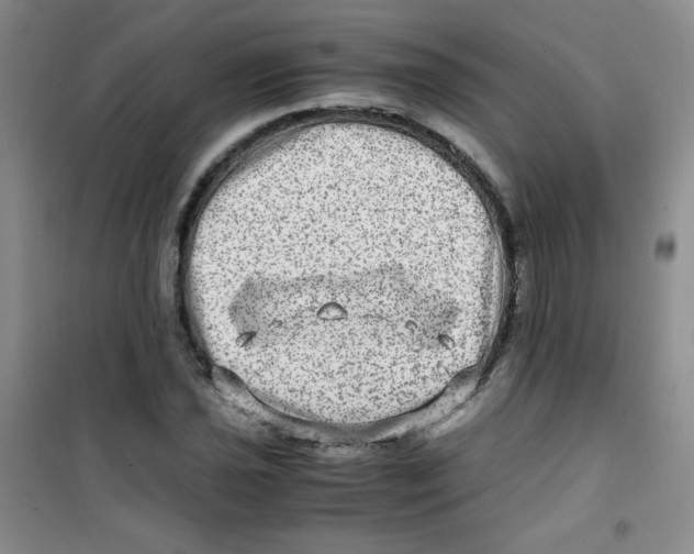 X0000100951021200807221116