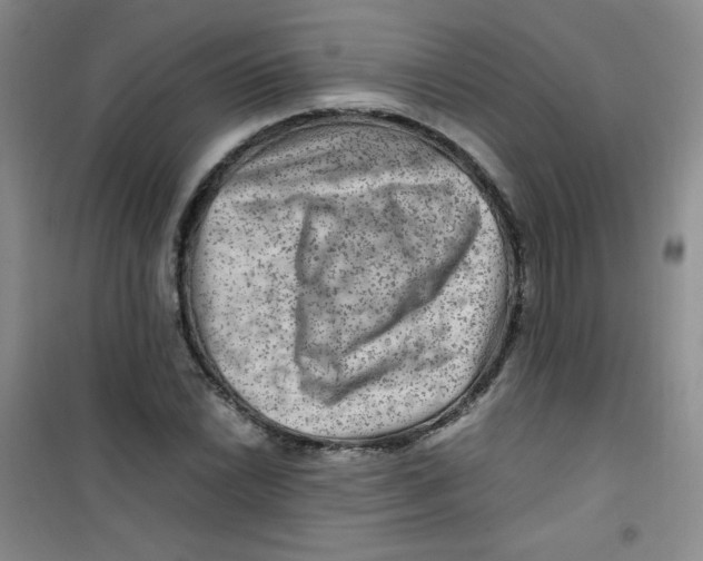 X0000100951022200807221116