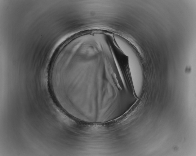 X0000100951024200807221116