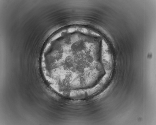 X0000100951025200807221116