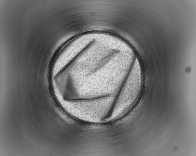 X0000100951026200807221116