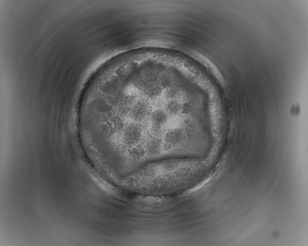 X0000100951027200807221116