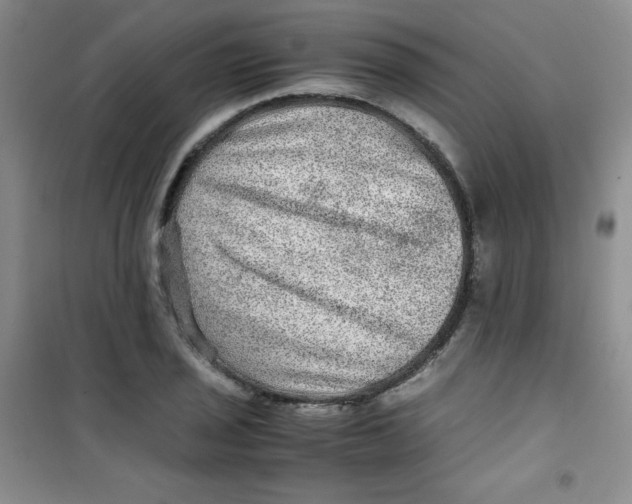 X0000100951029200807221116