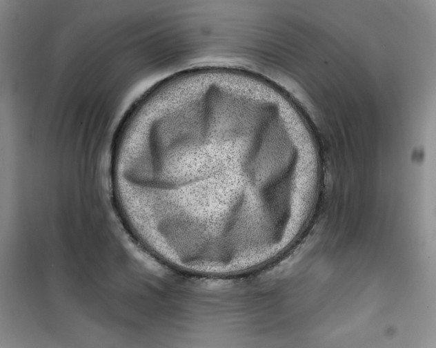 X0000100951030200807221116