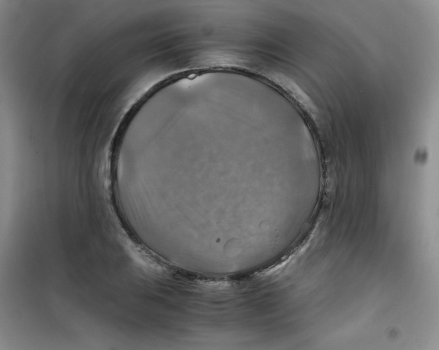 X0000100951031200807221116