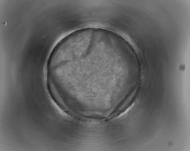 X0000100951032200807221116