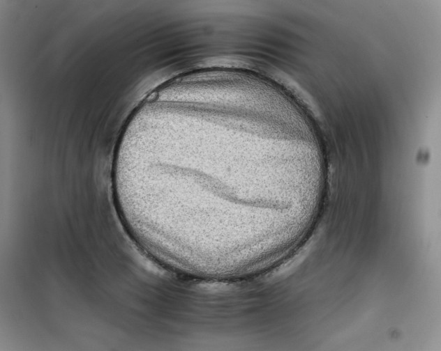 X0000100951033200807221116