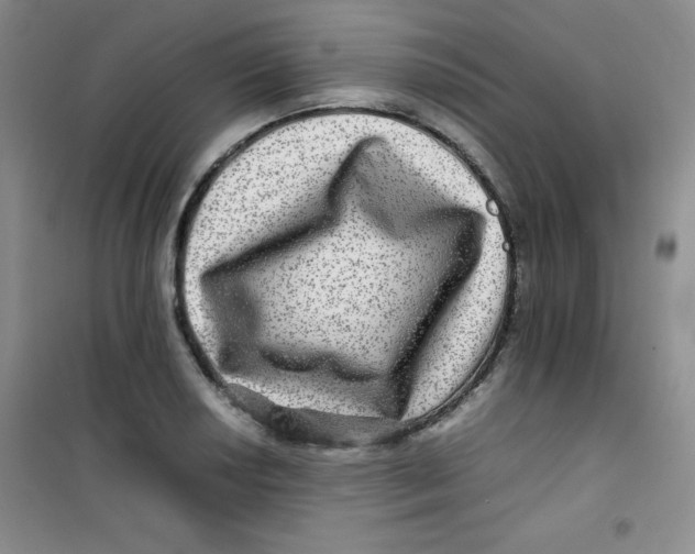 X0000100951034200807221116