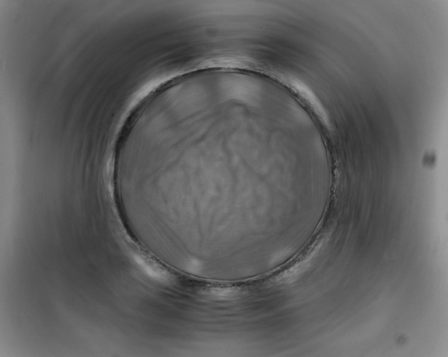 X0000100951035200807221116