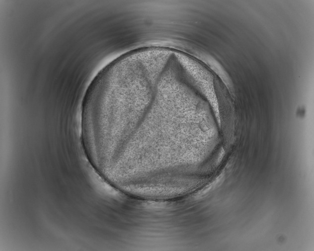 X0000100951036200807221116