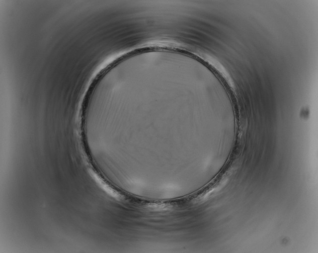 X0000100951037200807221116