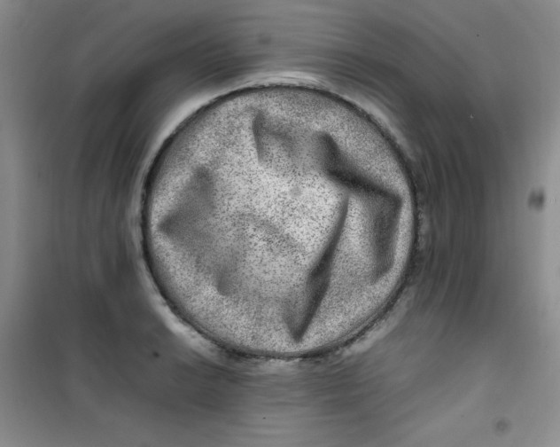 X0000100951038200807221116