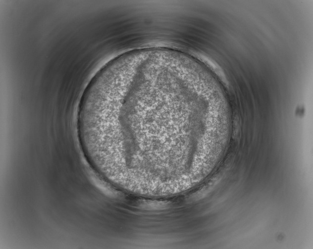 X0000100951039200807221116