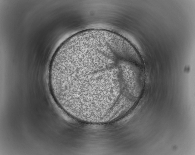 X0000100951040200807221116