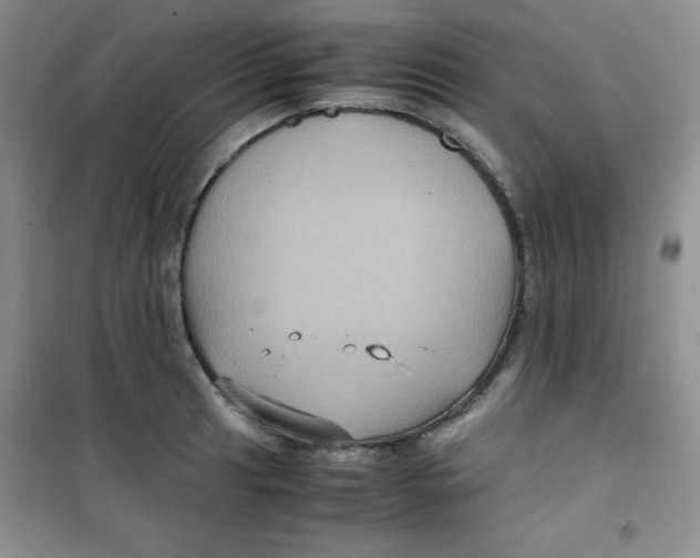 X0000100951041200807221116