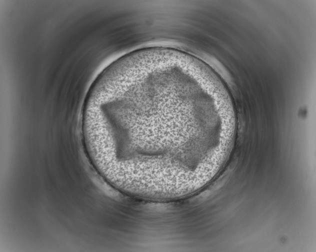 X0000100951044200807221116