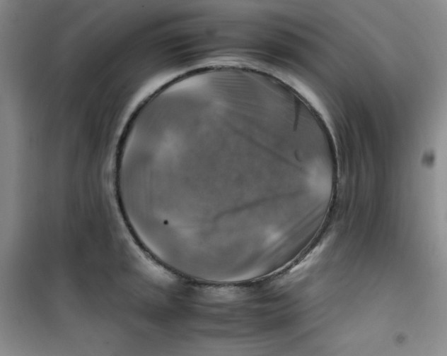 X0000100951045200807221116