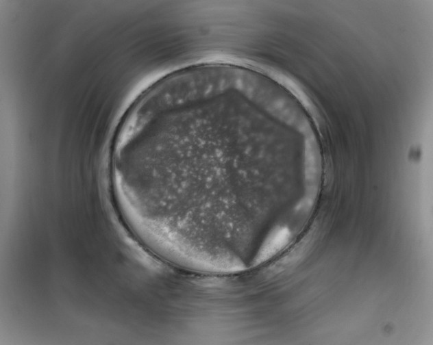 X0000100951048200807221116